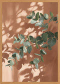 Poster in oak frame
