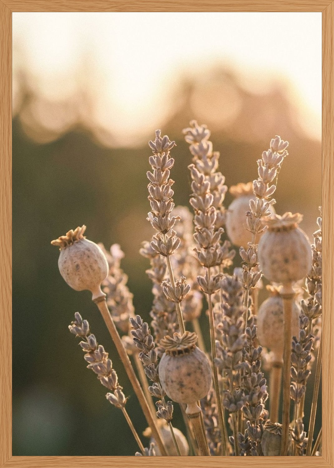 Poster in oak frame