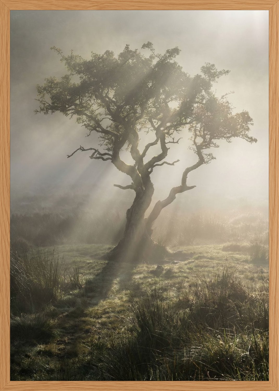 Poster print file