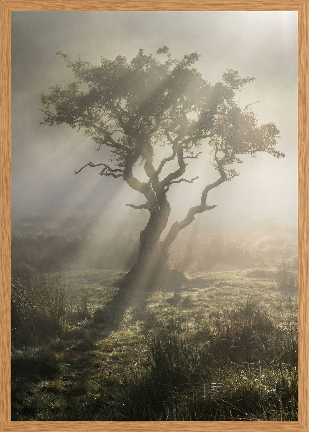 Poster in oak frame
