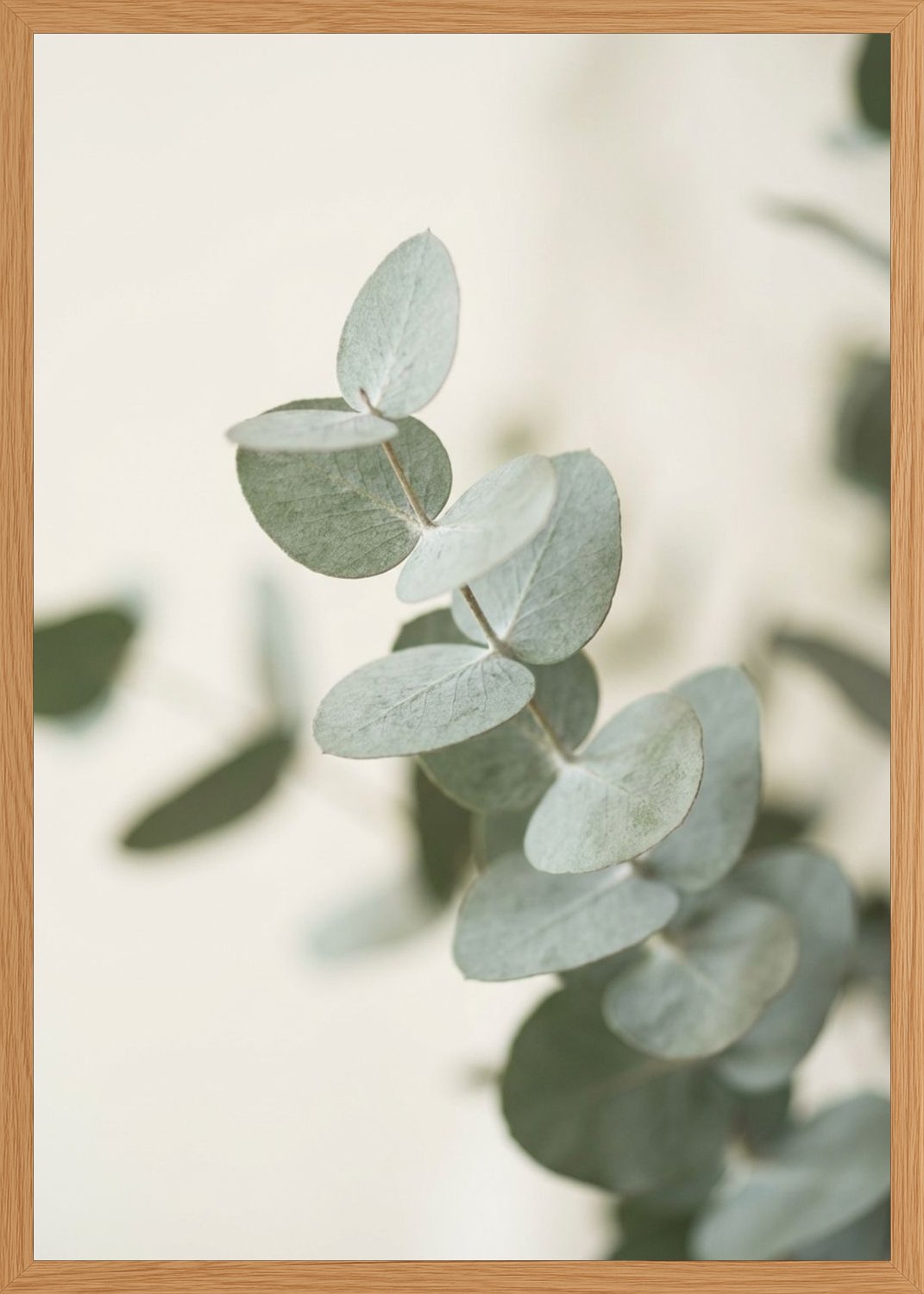 Poster in oak frame