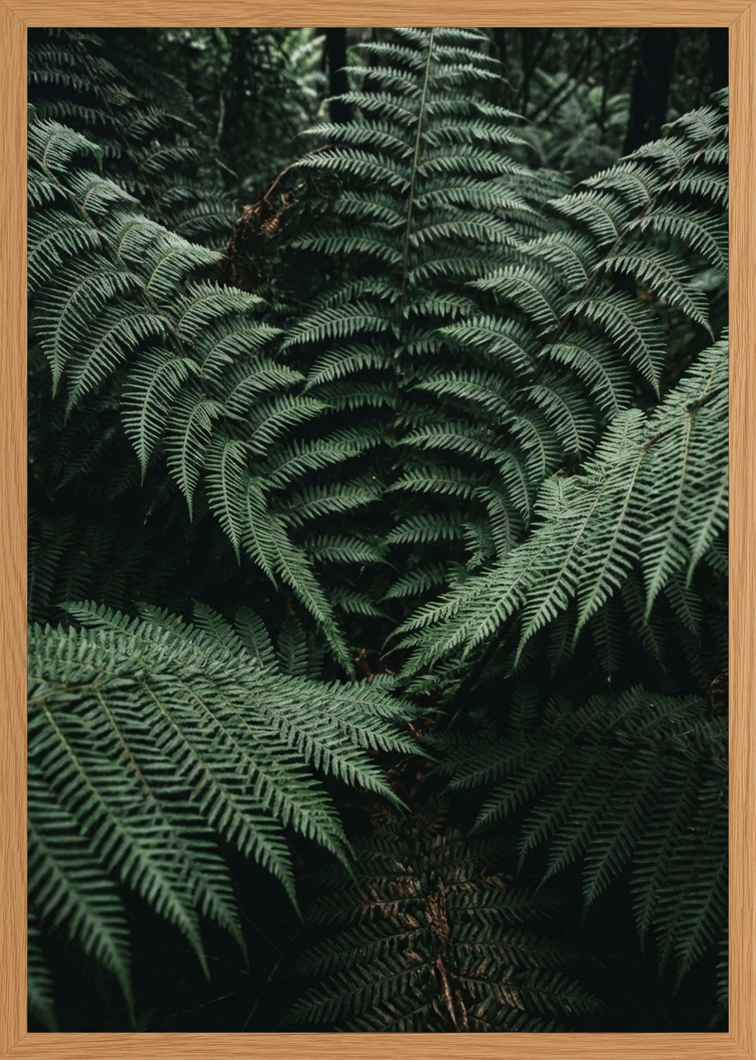 Poster in oak frame