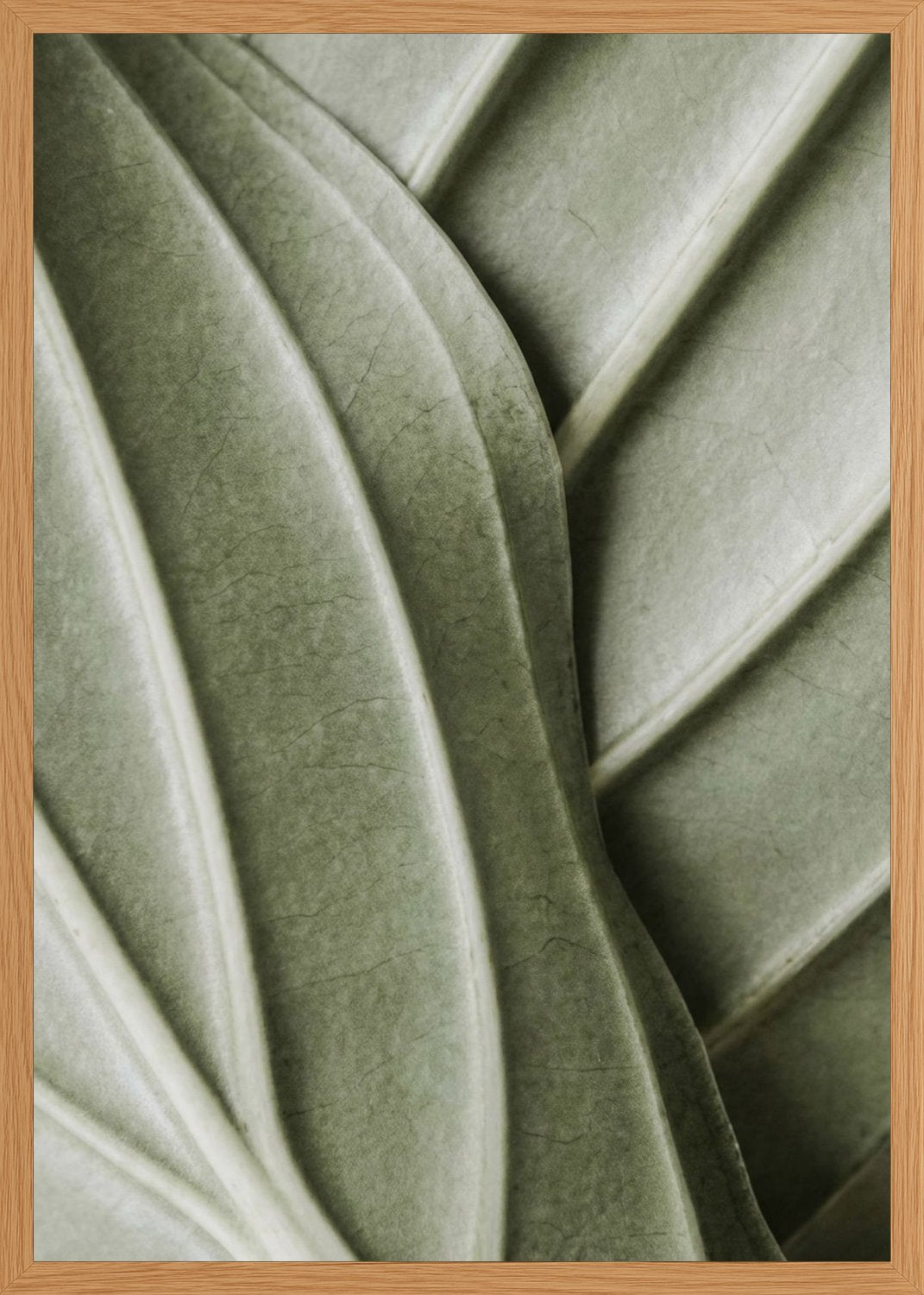 Poster in oak frame