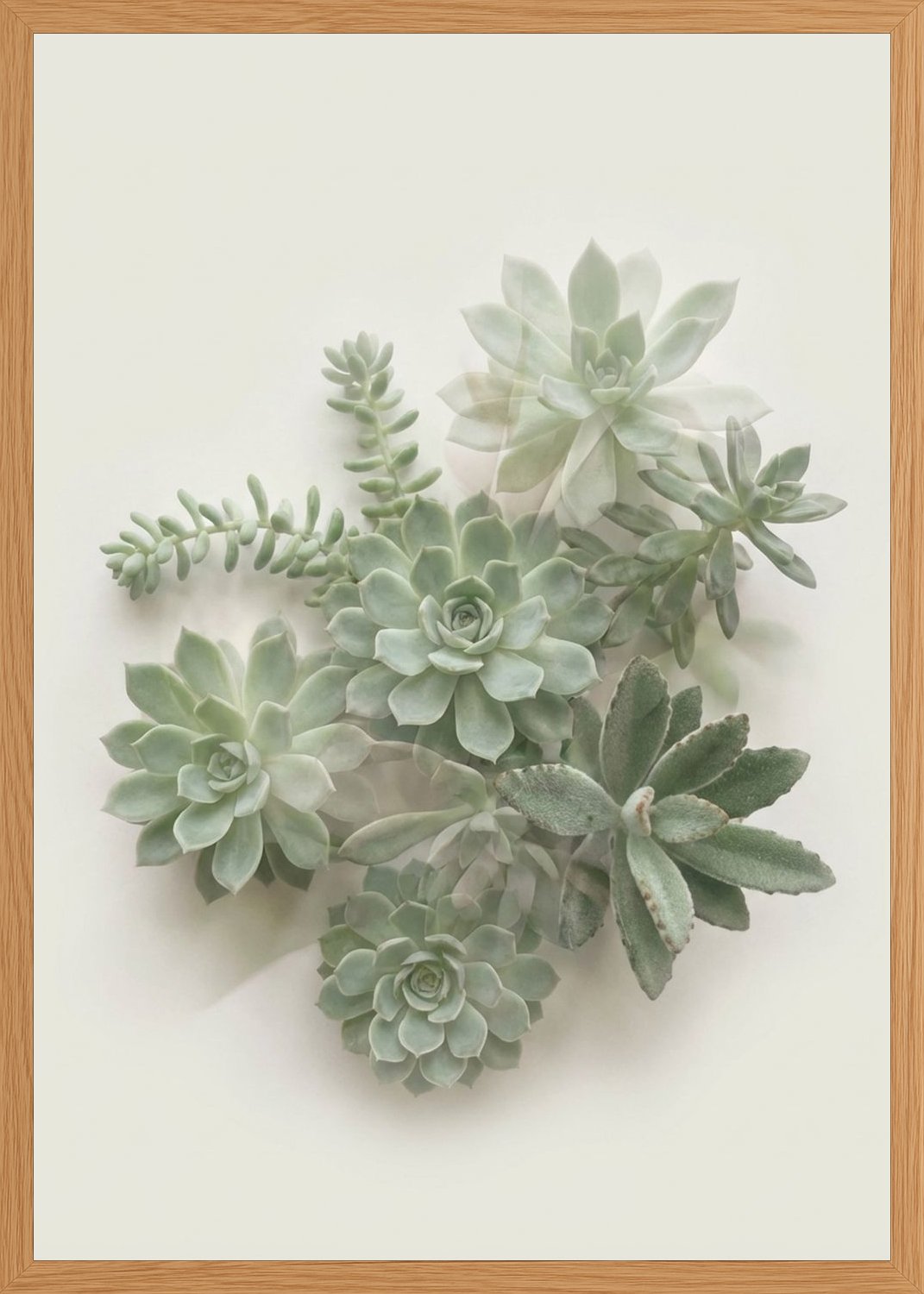 Poster in oak frame
