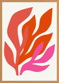 Poster in oak frame