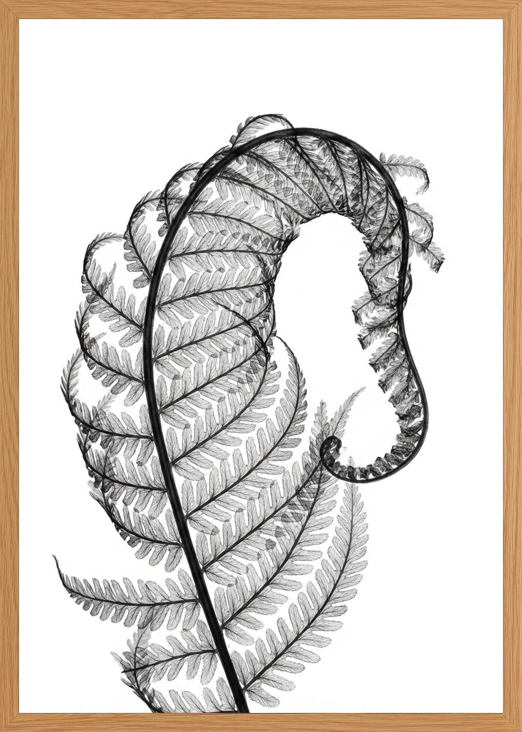 Poster in oak frame
