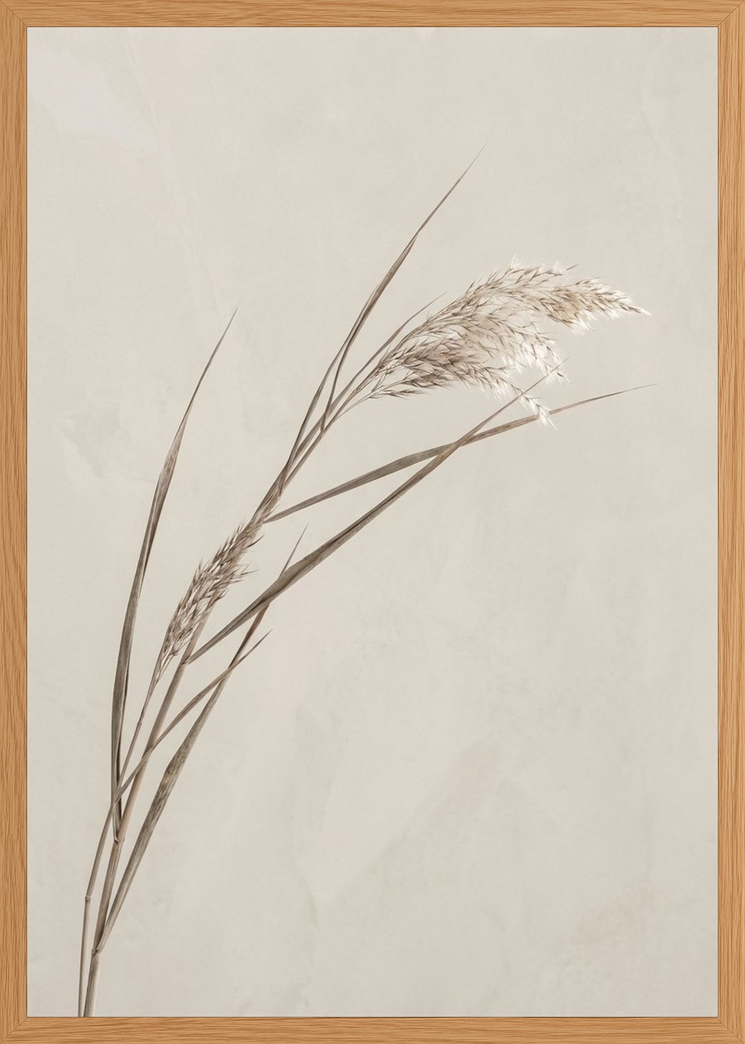 Poster in oak frame