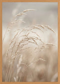 Poster in oak frame