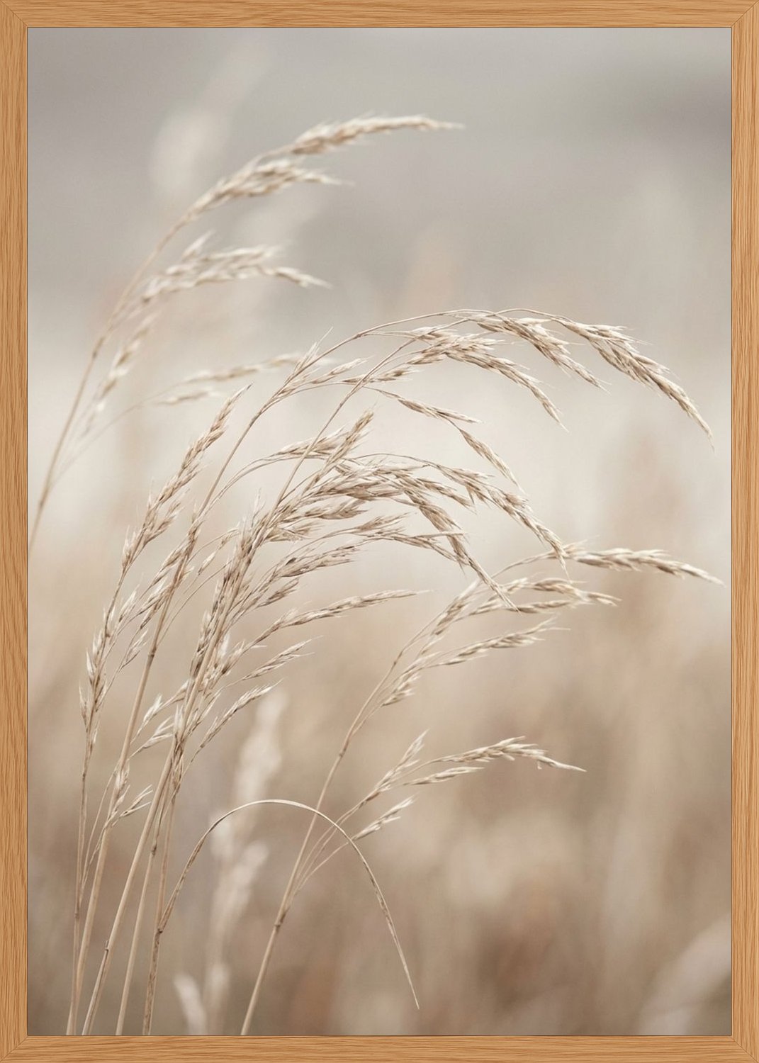 Poster in oak frame