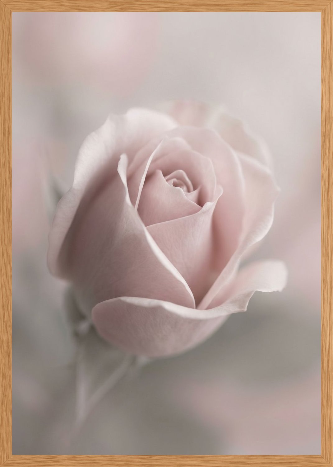 Poster in oak frame