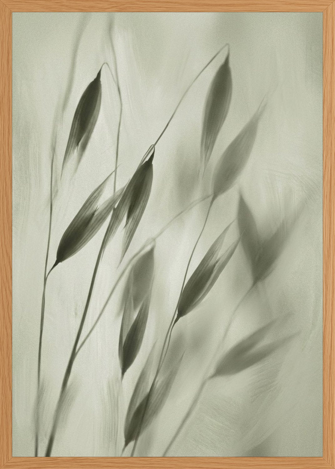 Poster in oak frame