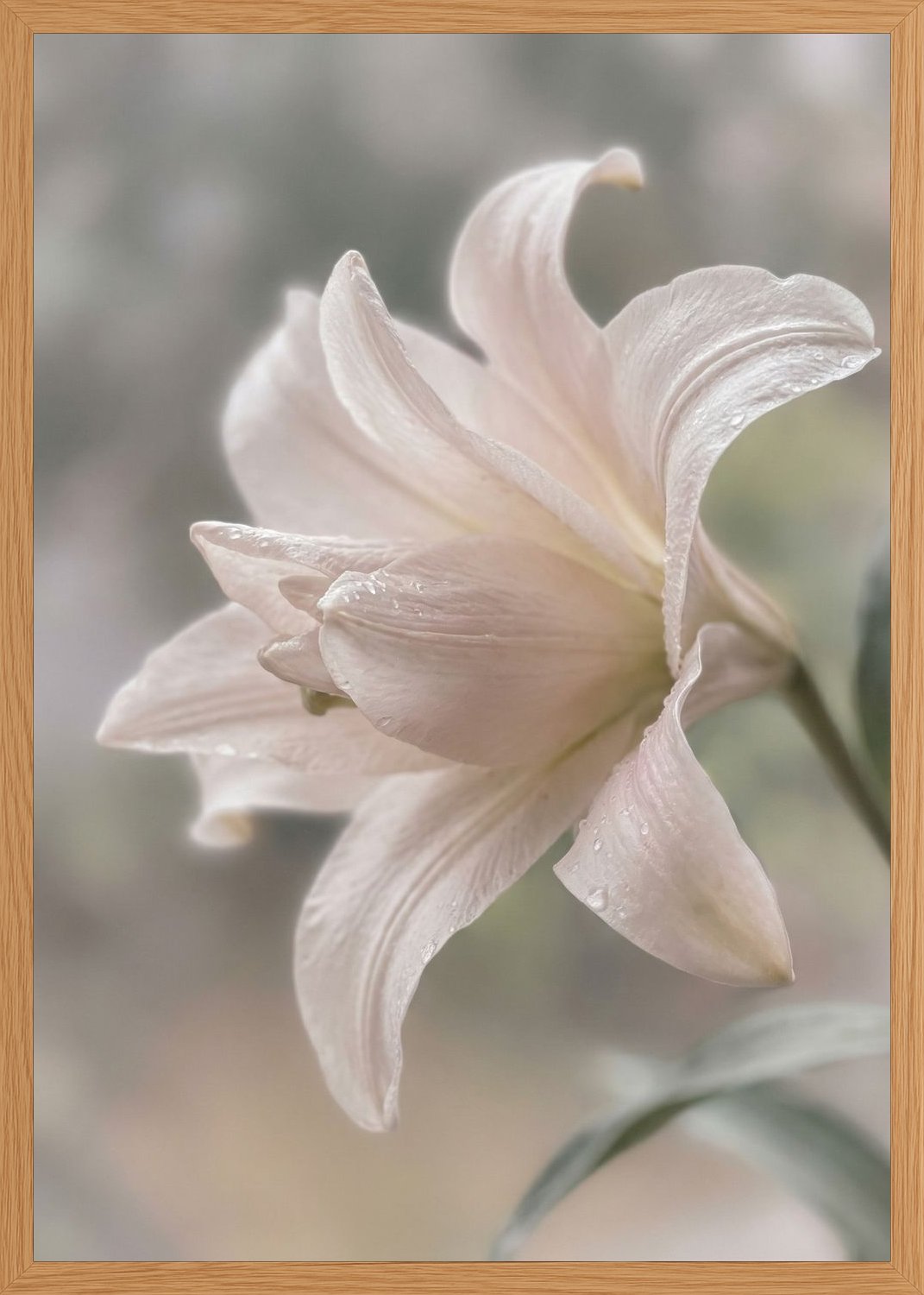 Poster in oak frame