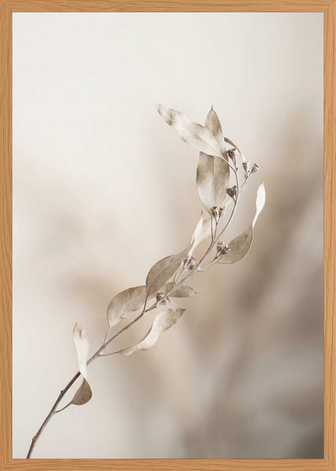 Poster in oak frame