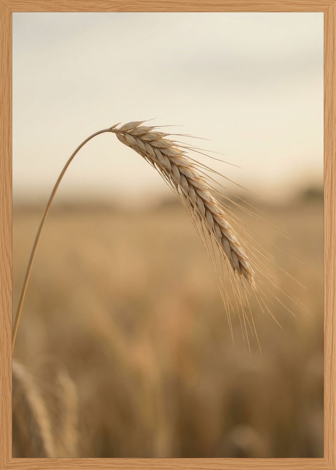 Poster in oak frame