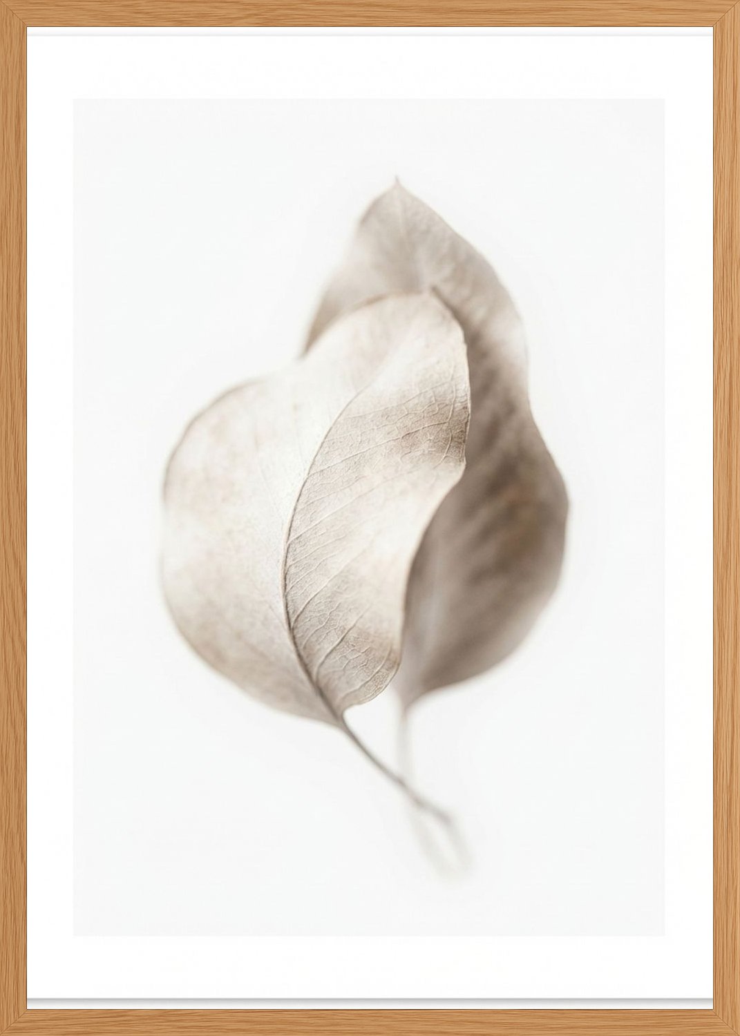 Poster in oak frame