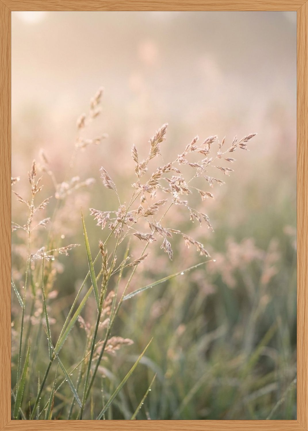 Poster in oak frame
