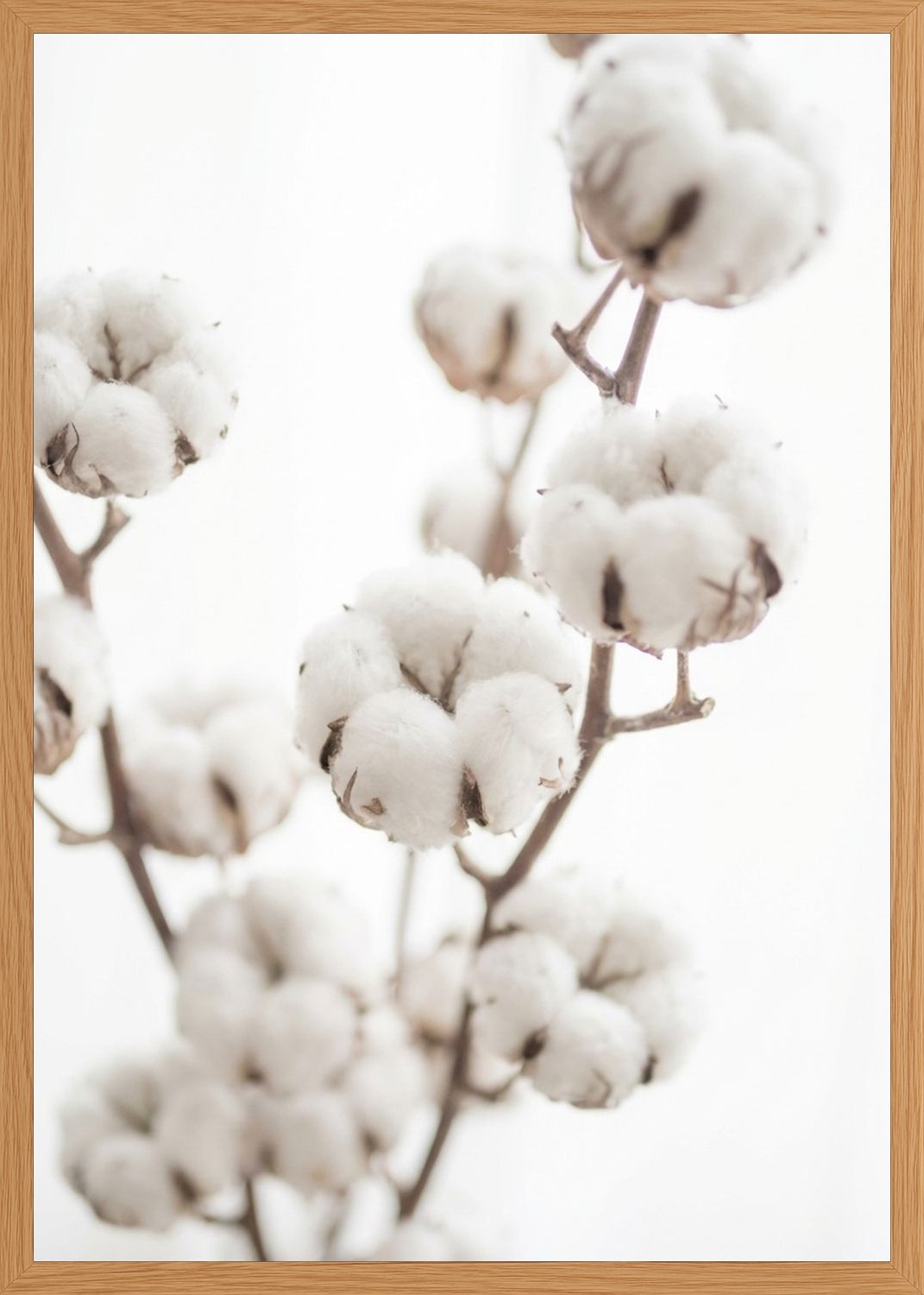 Poster in oak frame