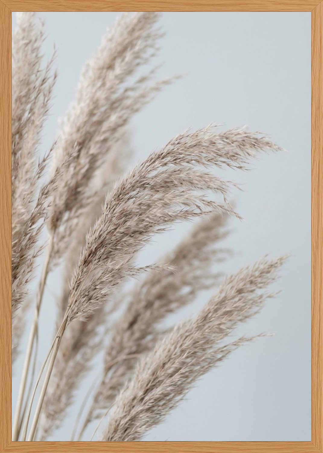 Poster in oak frame