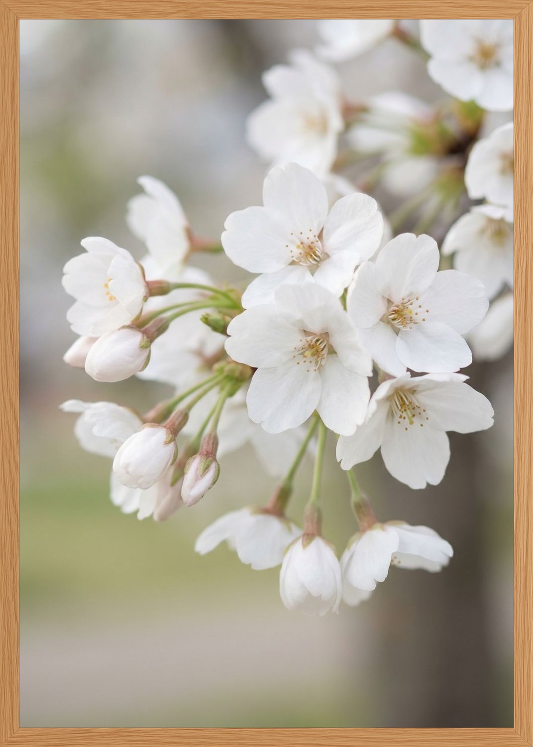Poster print file