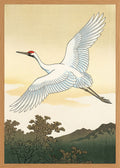 Poster in oak frame