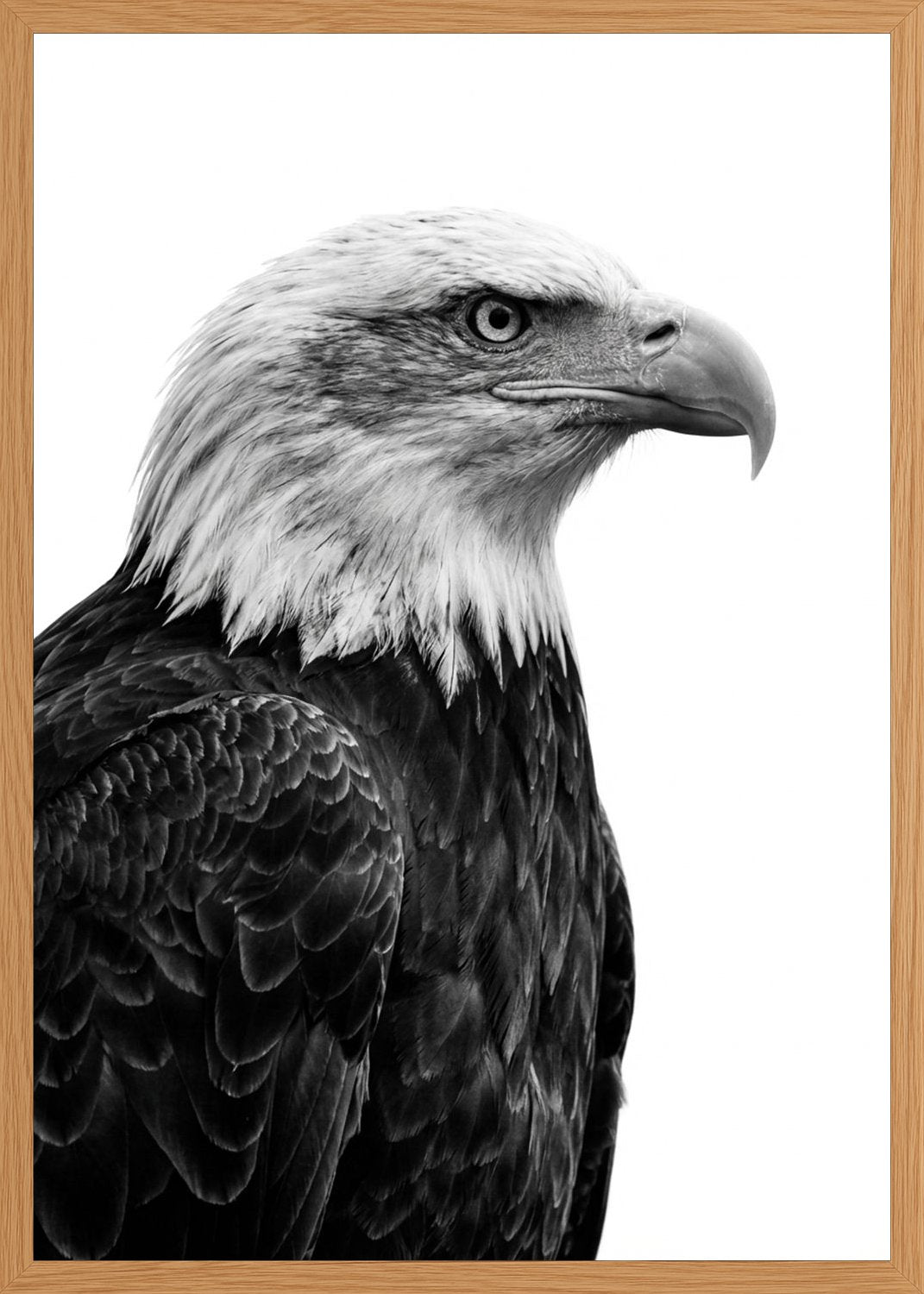 Poster in oak frame