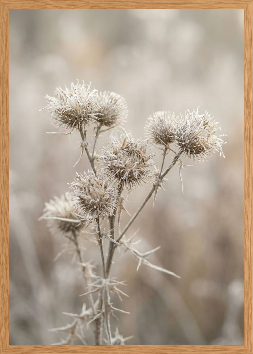 Poster in oak frame