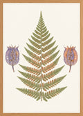Poster in oak frame