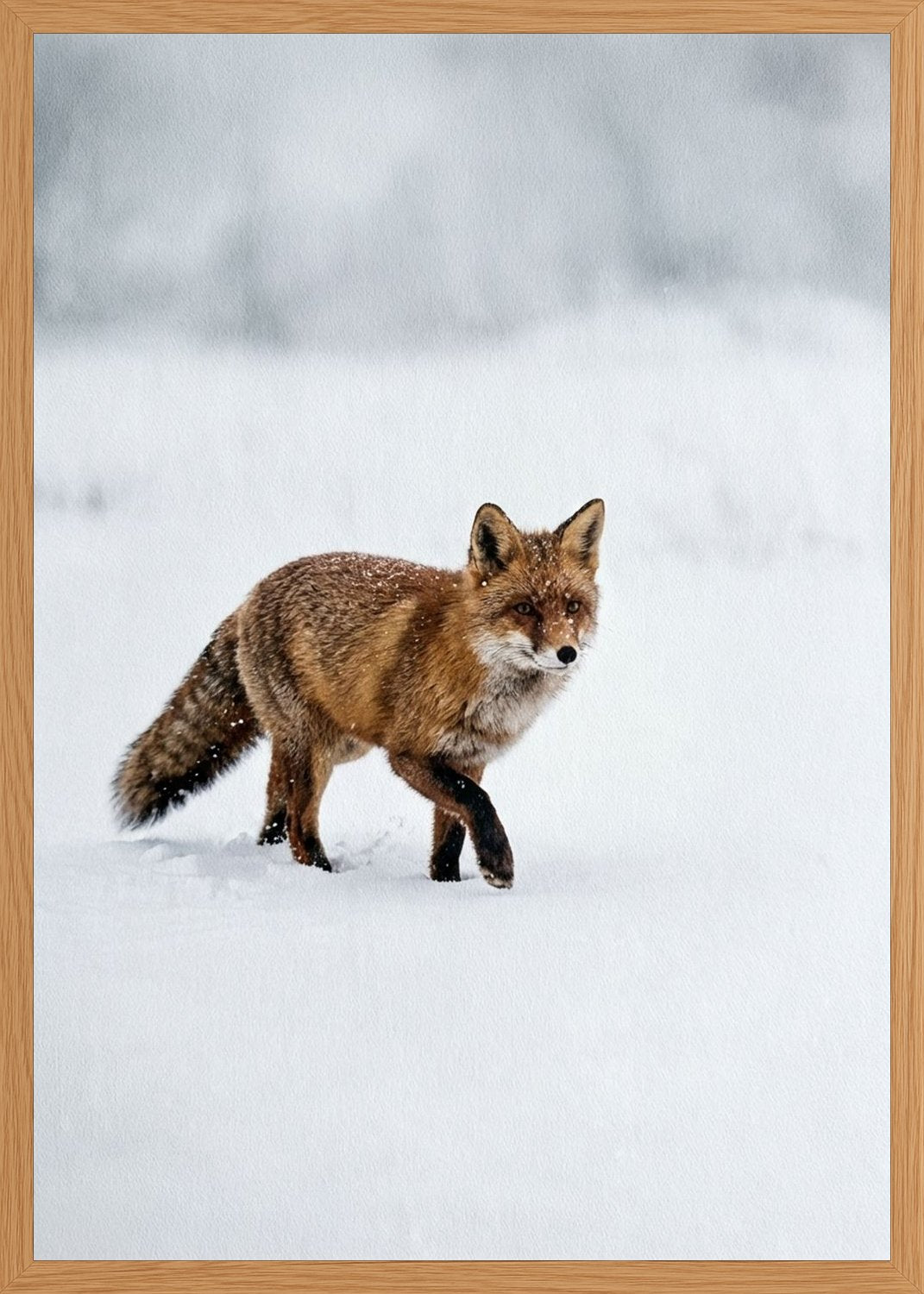 Poster in oak frame