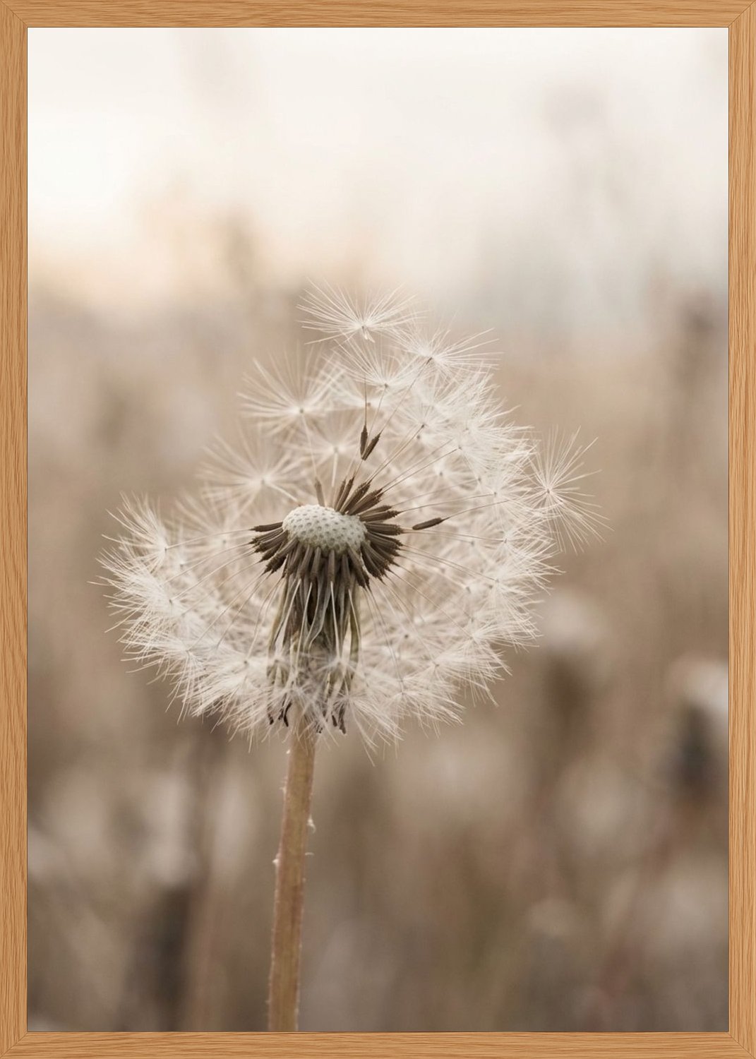 Poster in oak frame