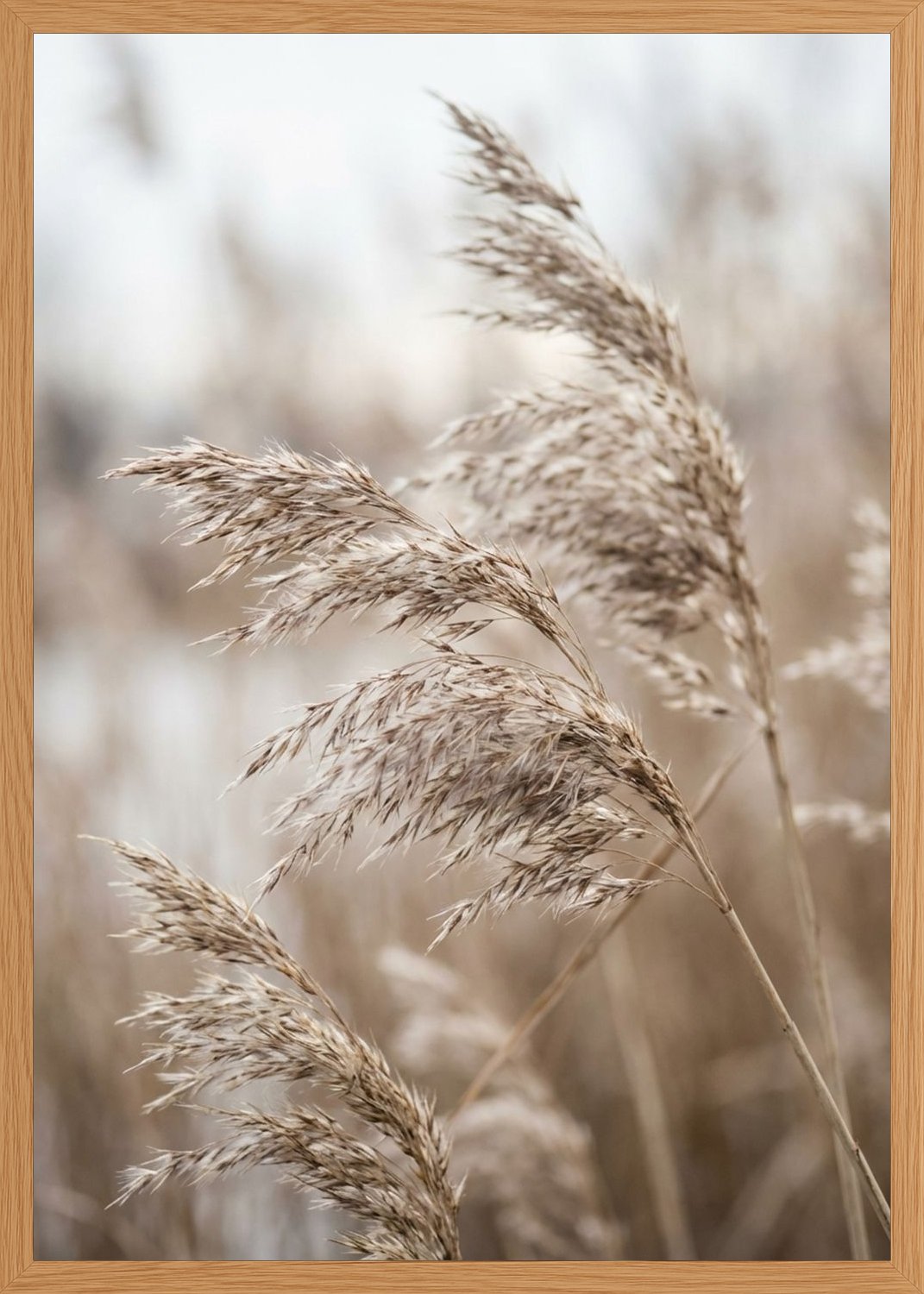Poster in oak frame