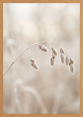 Poster in oak frame