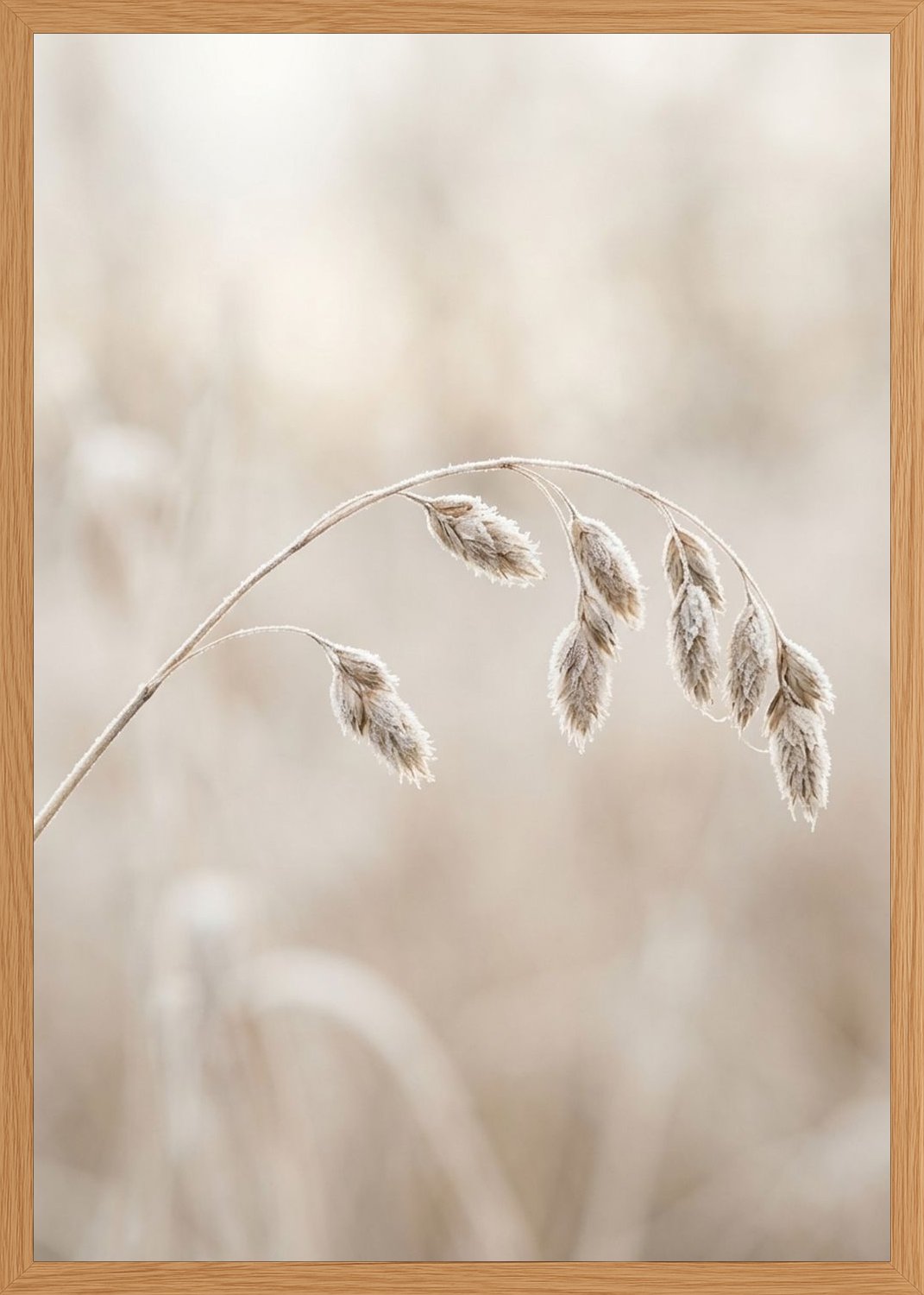 Poster in oak frame