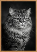 Poster print file