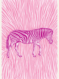 Poster African Zebra striking camouflage – poster e stampa artistica