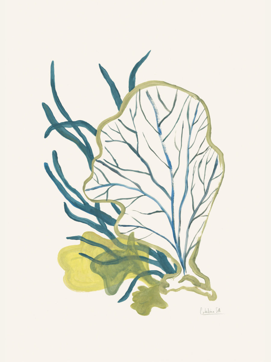 Algae No1 Poster – poster and art print