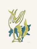 Poster Algae No2 – poster e stampa artistica