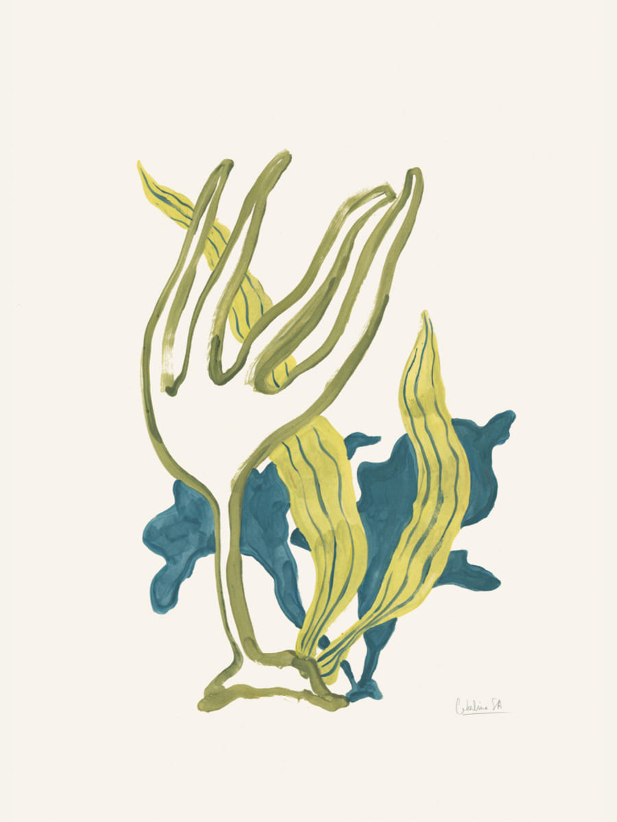 Poster Algae No2 – poster e stampa artistica