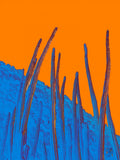 Poster print