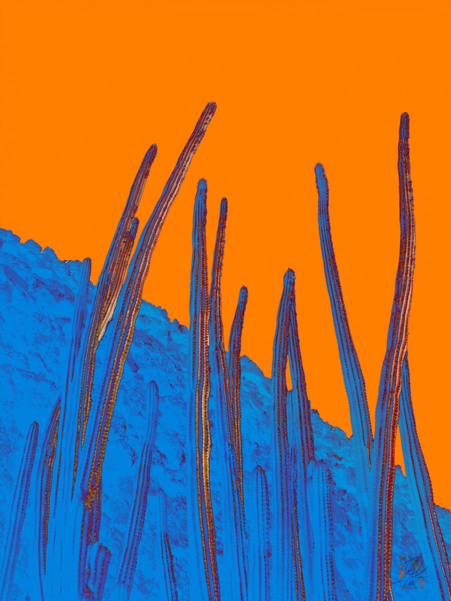 Poster print