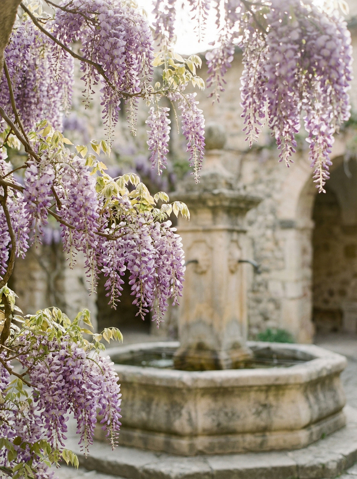 Poster in black frame