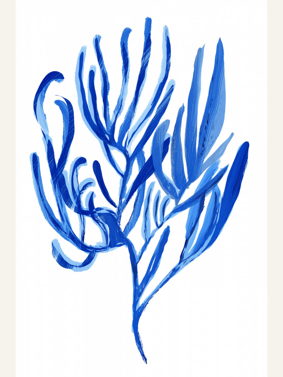 Blue Aquatic Plant Poster 4 – poster and art print
