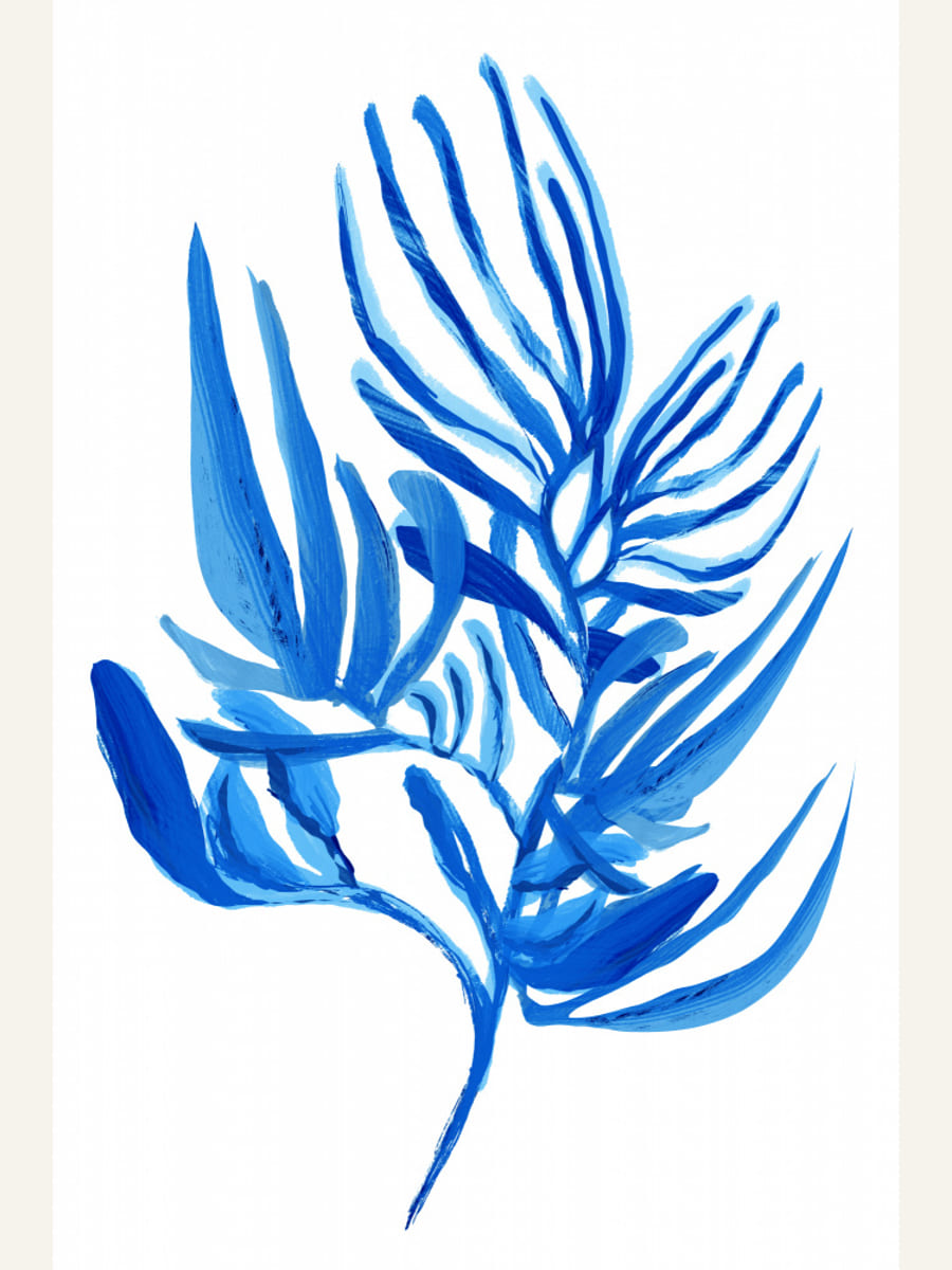 Blue Aquatic Plant Poster 6 – poster and art print