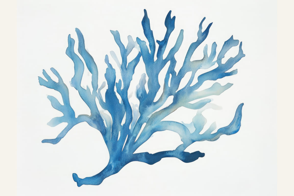 Blue Coral Poster – plakat og kunsttryk