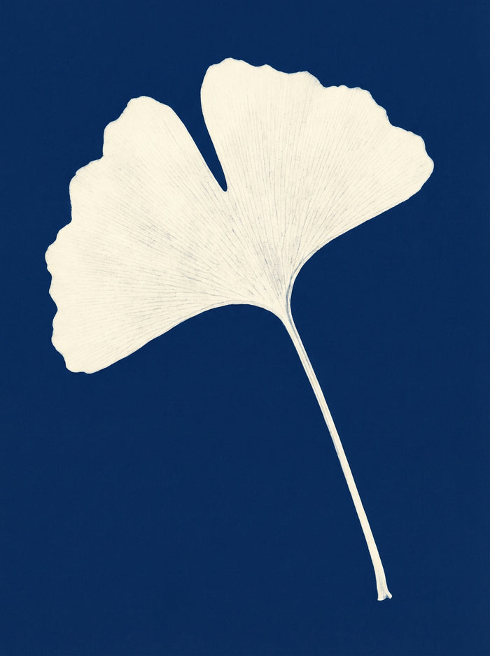 Poster print