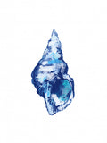 Poster Blue Seashell On White Background No 2 – poster e stampa artistica