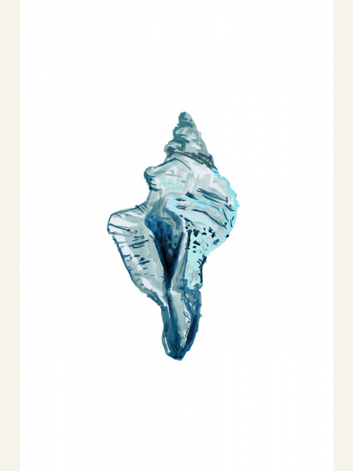 Blue Seashell On White Background No4 Poster – poster och konsttryck