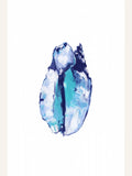 Blue Seashell On White Background No5 Poster – Poster und Kunstdruck