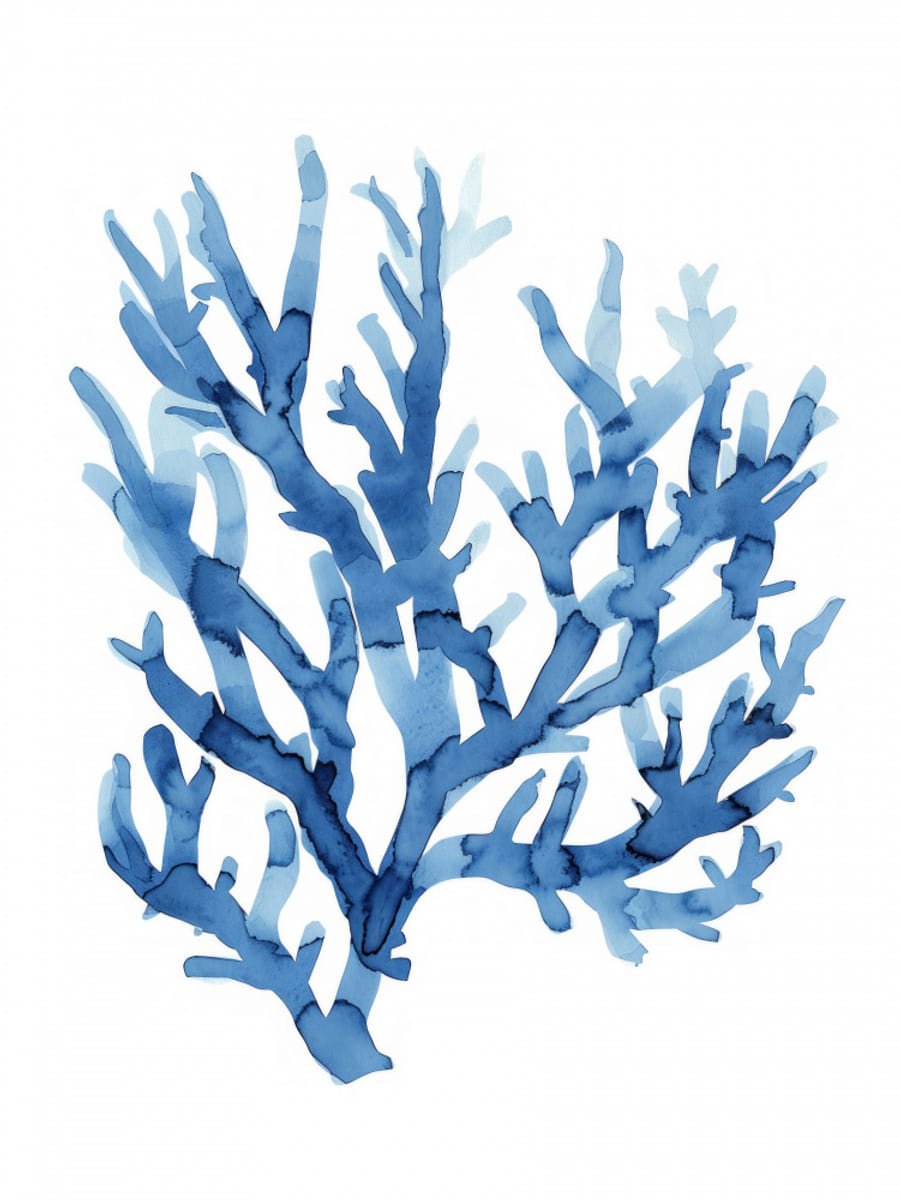 Bluecoral(watercolor) Poster – plakat og kunsttryk