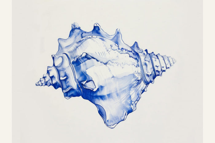 Poster Blueshellno02 – poster e stampa artistica