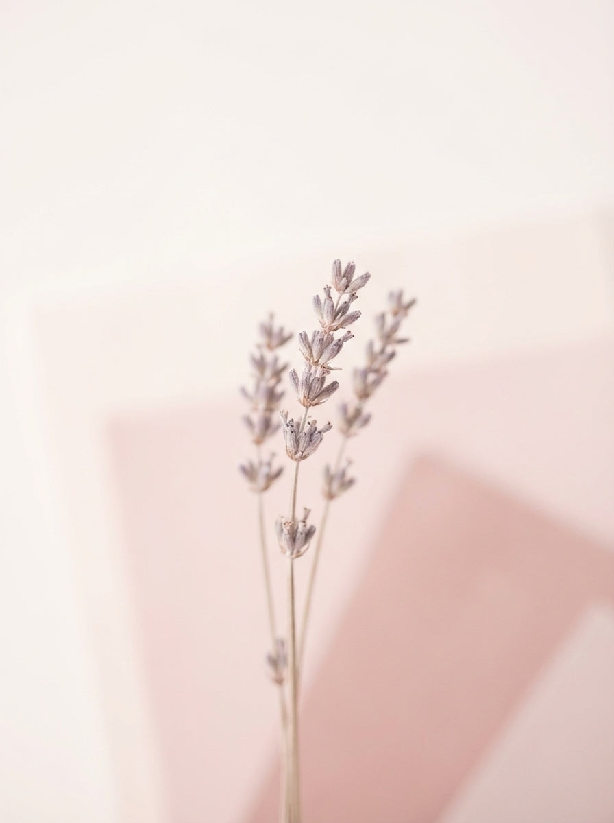 Poster print file